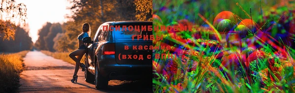 каннабис Алзамай