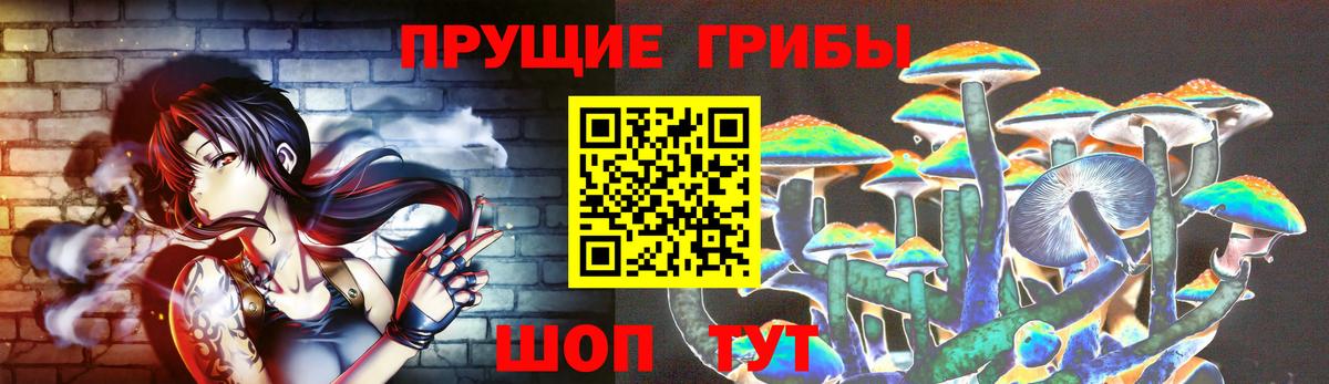 Галлюциногенные грибы GOLDEN TEACHER  Вход с VPN  Сургут 