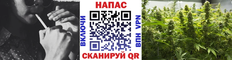 купить  цена  Сургут  Конопля планчик 